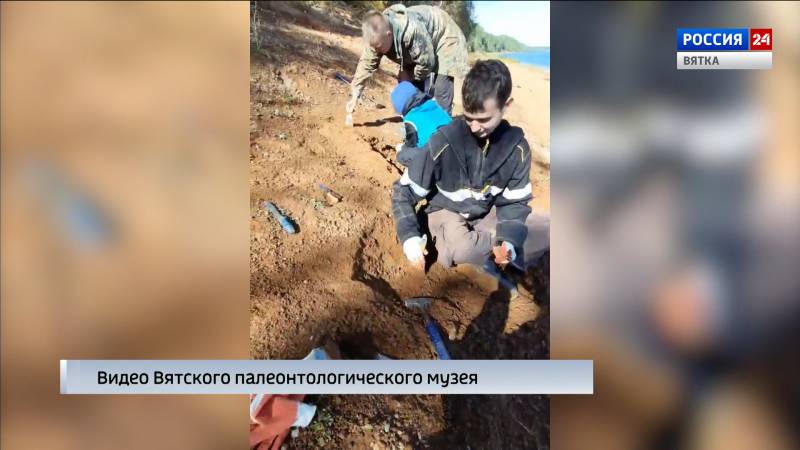В Котельничском районе у Сокольей горы проходит экспедиция Вятского палеонтологического музея
