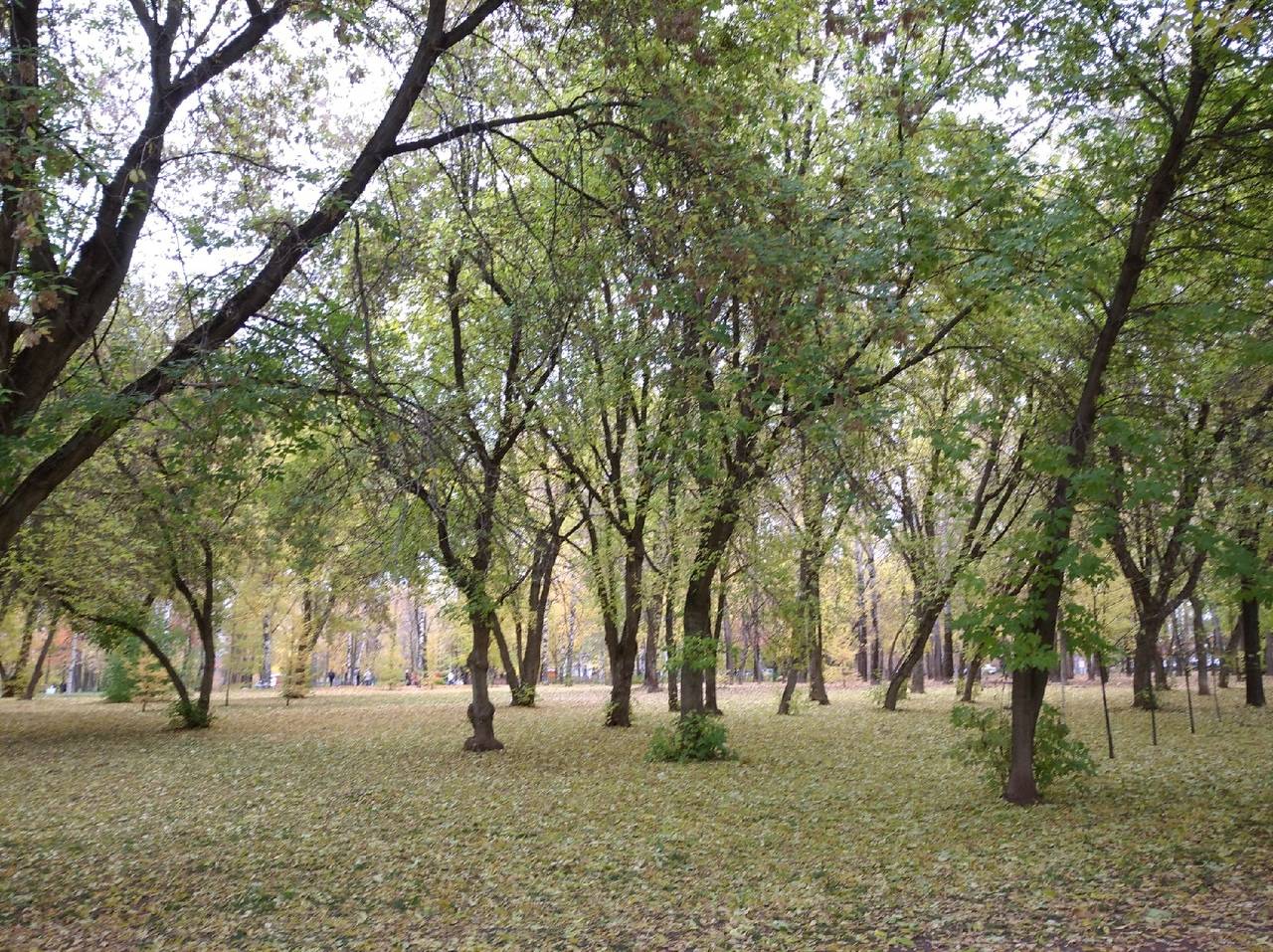 В воскресенье в Кировской области будет тепло и солнечно