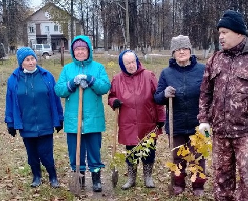 В Туже пенсионеры высадили новые деревья и кустарники в парке Победы