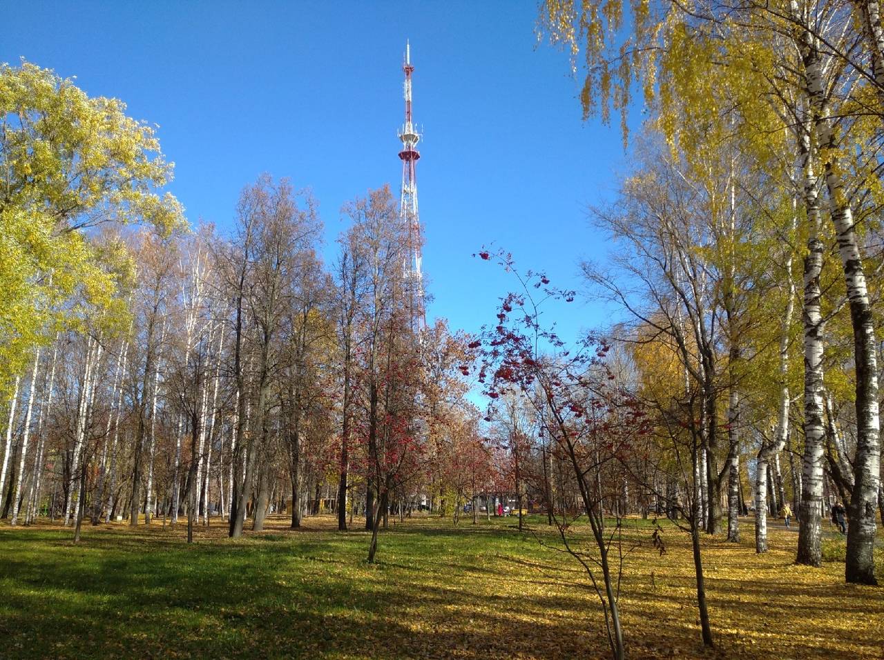В Кировской области ожидается теплая и солнечная погода