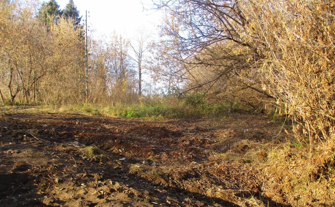 В Кирове ликвидировали незаконную свалку площадью 140 квадратных метров