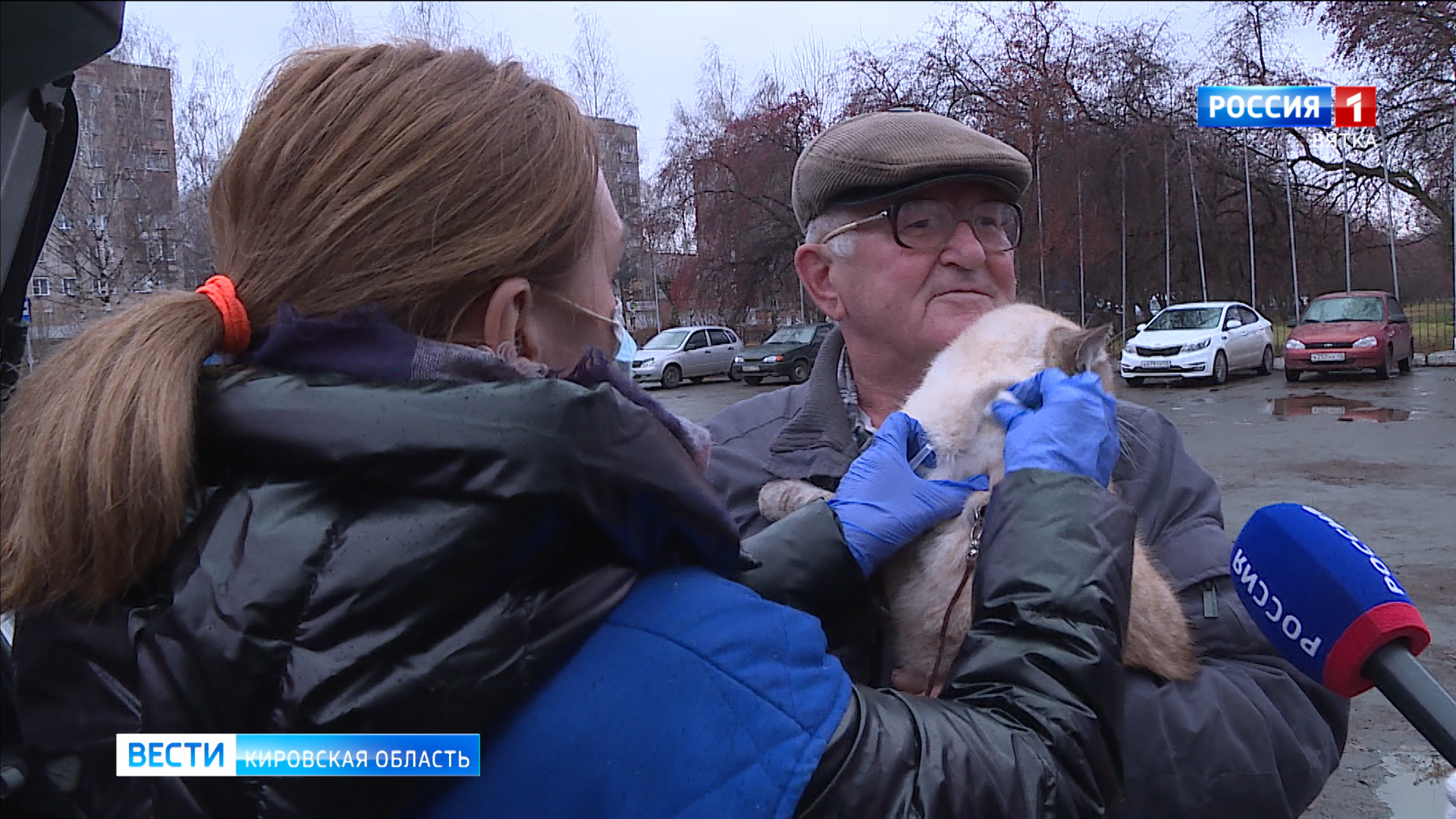 В Кирове продолжается бесплатная вакцинации домашних животных против бешенства