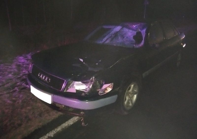 В Мурашинском районе в ДТП погиб пешеход