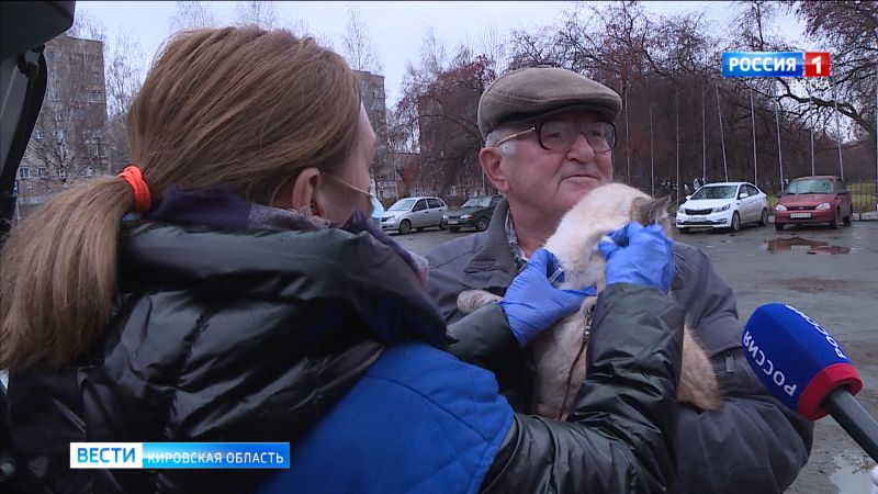 В Кирове продолжается бесплатная вакцинации домашних животных против бешенства