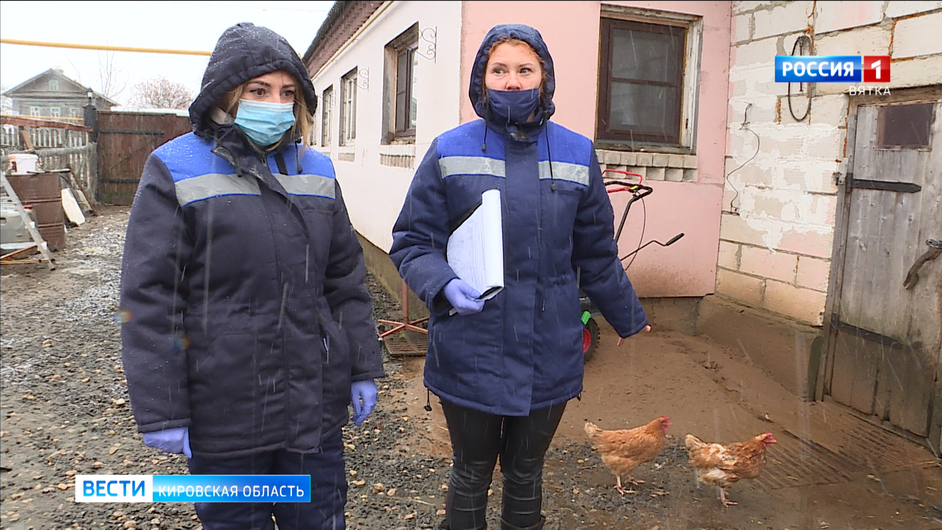 В Кирове из-за вспышки H5N1 проверяют домашнюю птицу