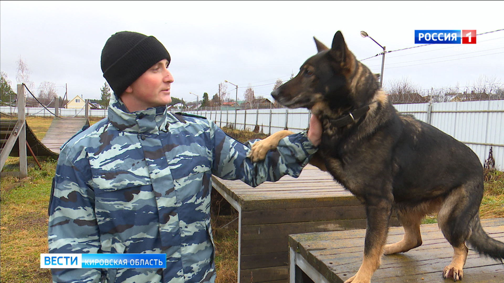 Кировчанам рассказали о буднях полицейских-кинологов