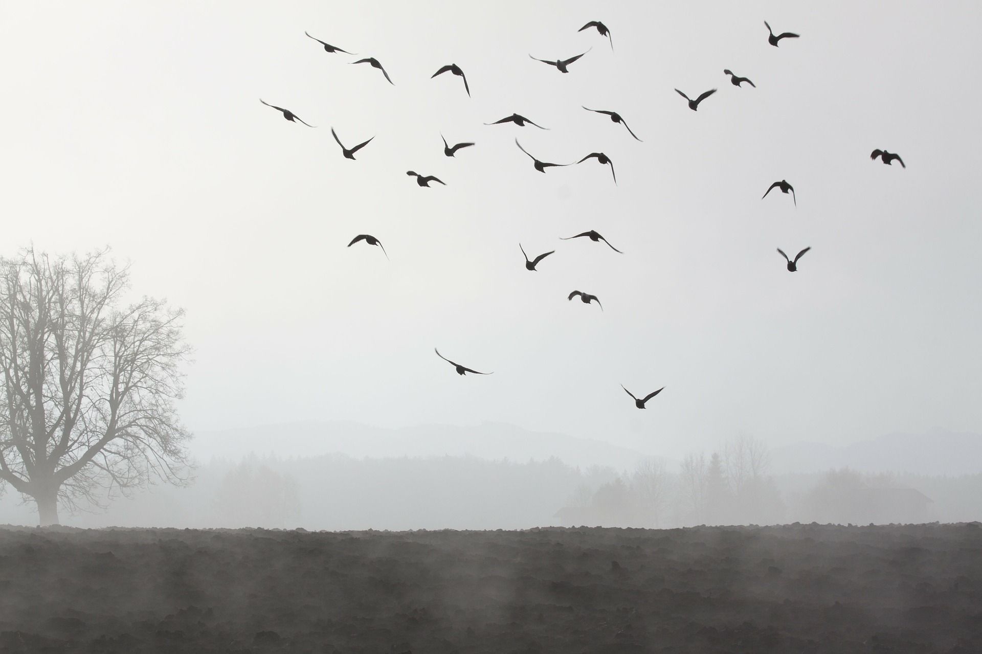 В Кировской области ожидается дождь с мокрым снегом