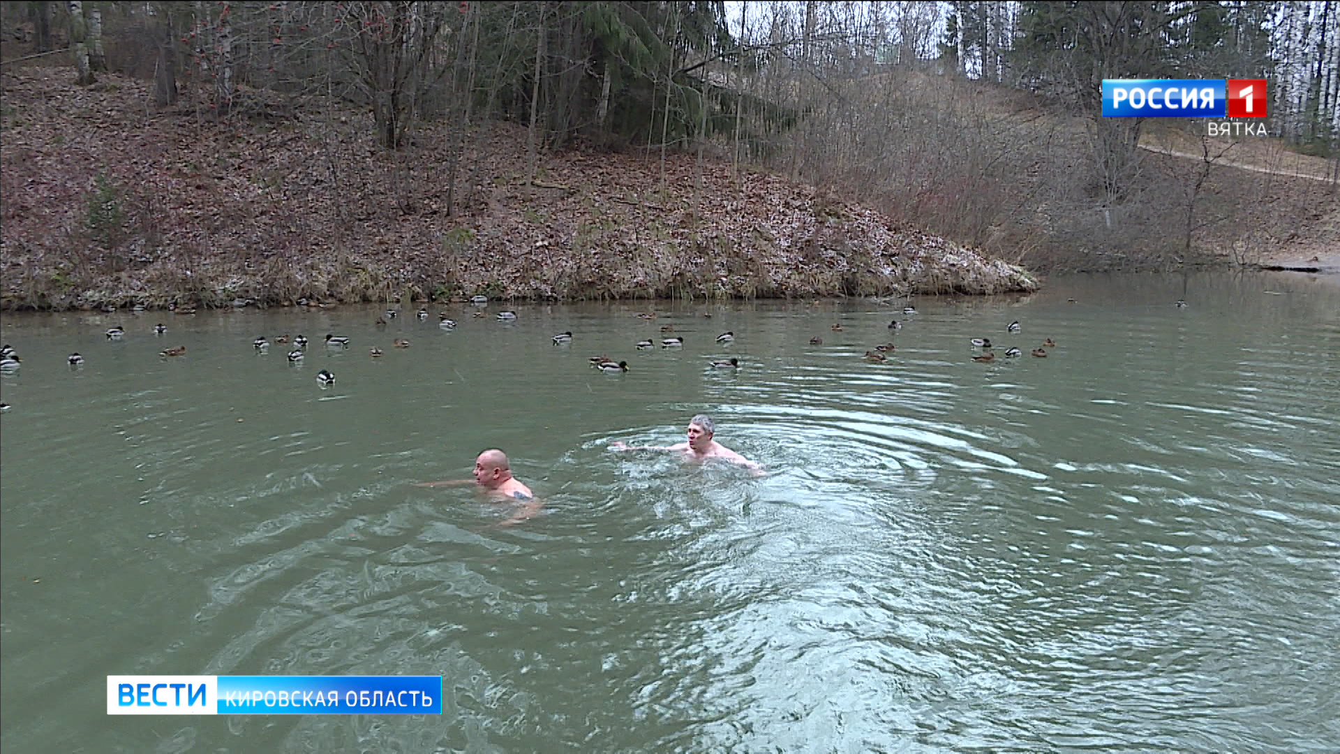 В Кирове оборудуют место купания для моржей