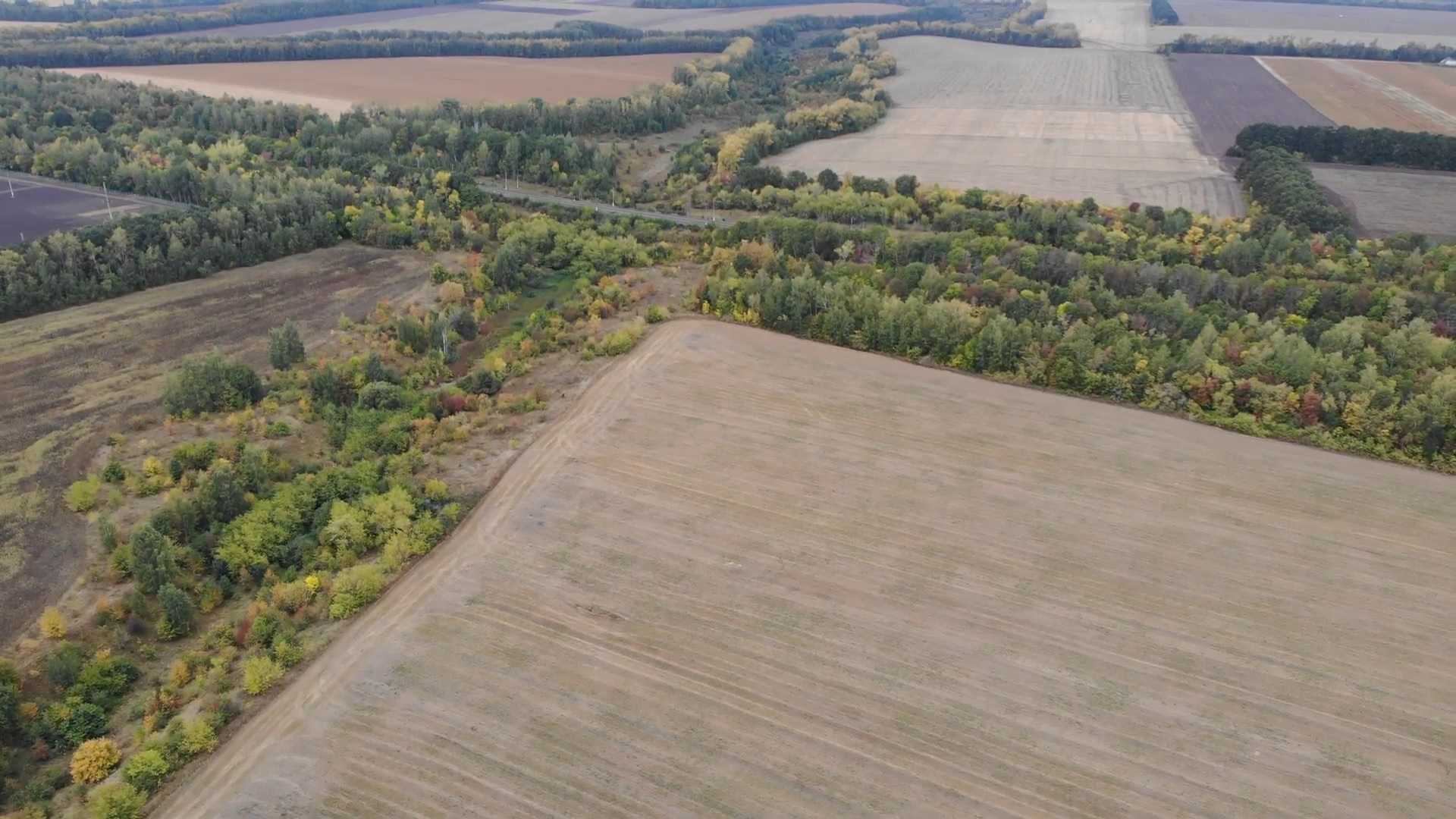 Объявлен международный конкурс на создание мемориала о Курской битве