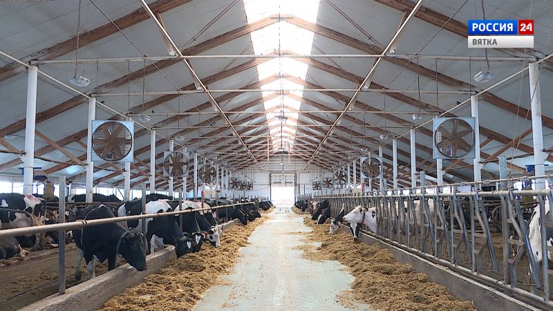 Губерния (03.11.2021)