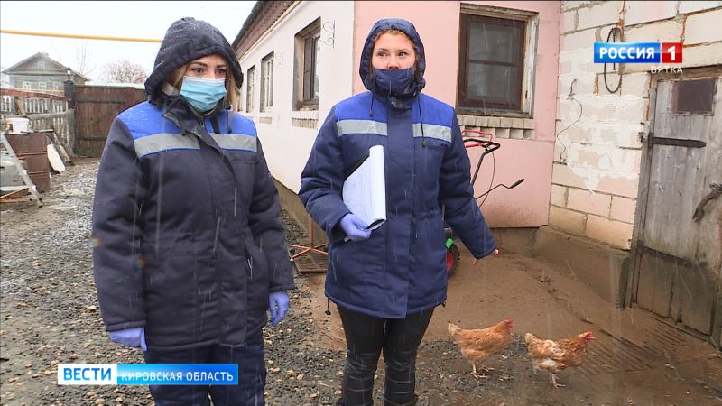 В Кирове из-за вспышки H5N1 проверяют домашнюю птицу
