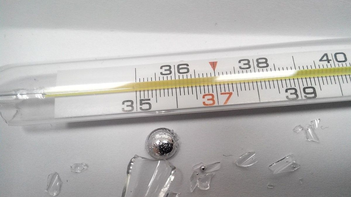 В Кирове запустят экомобиль, куда можно сдать ртутьсодержащие отходы