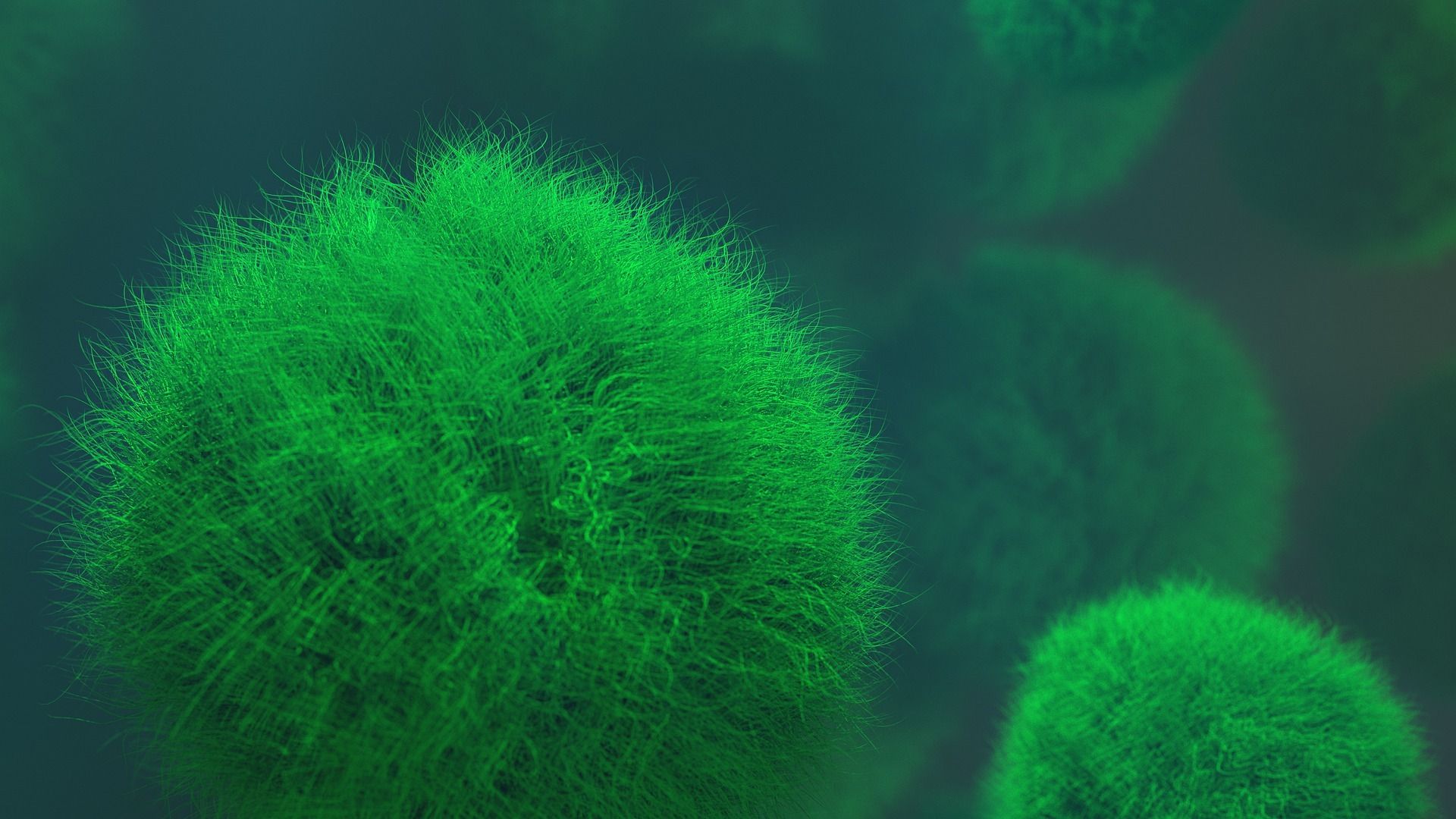 Вирусолог Анатолий Альтштейн заявил, что пандемия может закончиться с «омикроном»