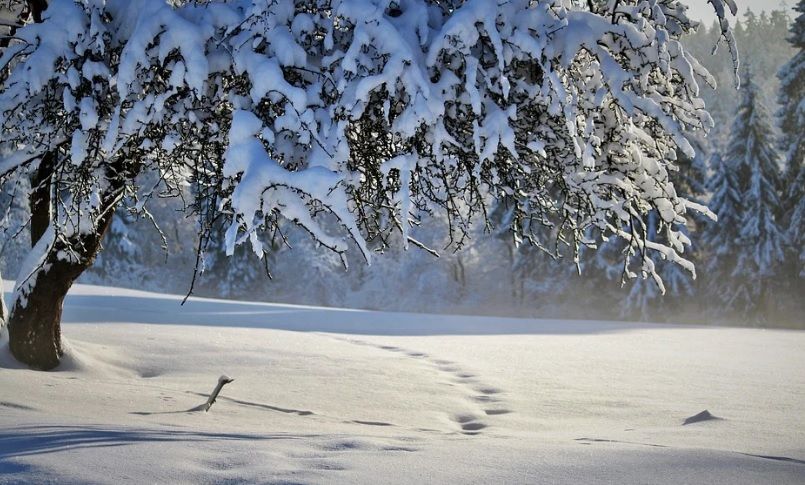 В Кировской области синоптики прогнозируют усиление морозов