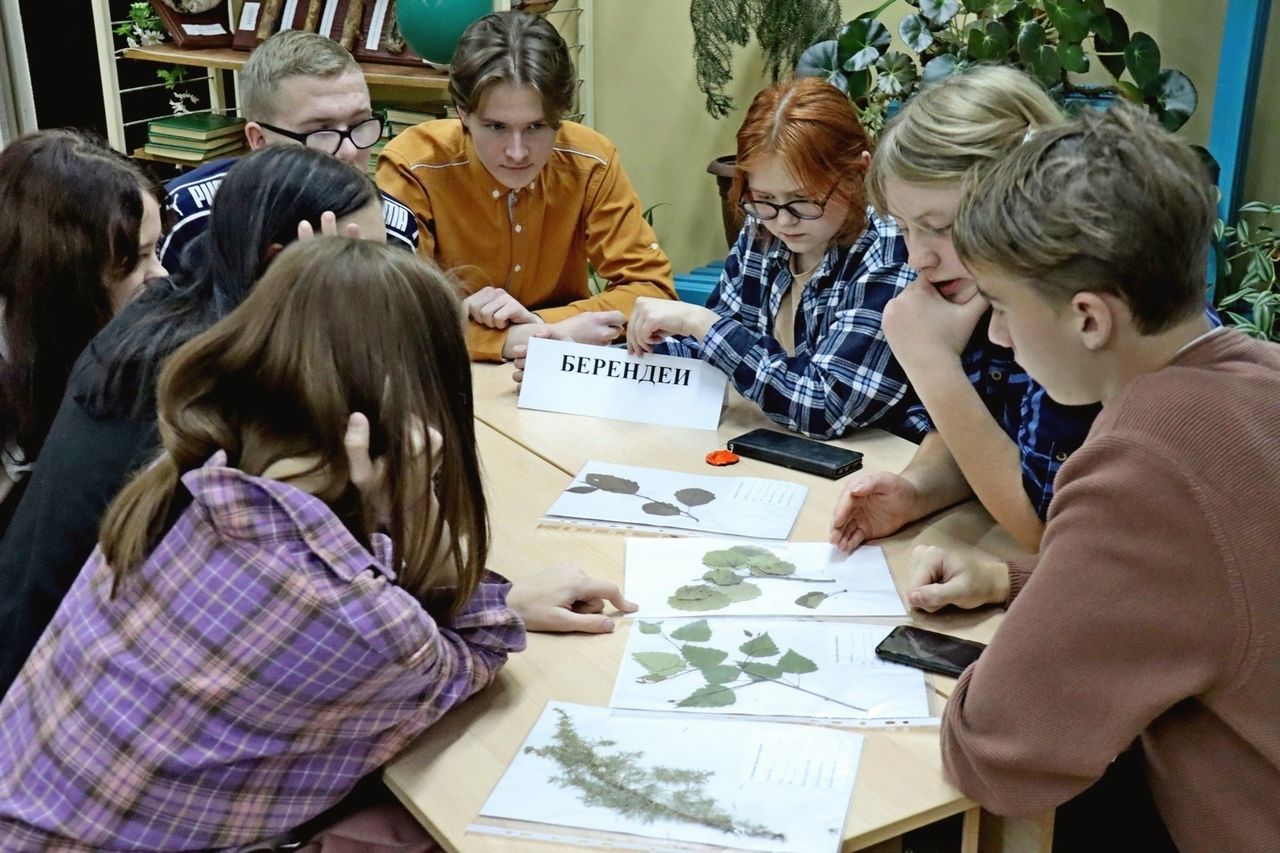 В Советске первокурсники сыграли в интеллектуальную игру «Лесные знатоки»