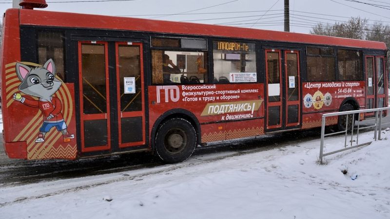 В Кирове на автобусном маршруте № 1 появился талисман ГТО -  волчонок Макар