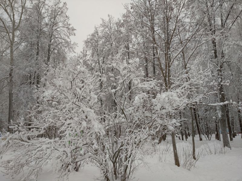 В Кировской области ожидаются снегопады