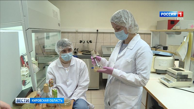 Кировская студентка разрабатывает биопрепарат для разложения соломы