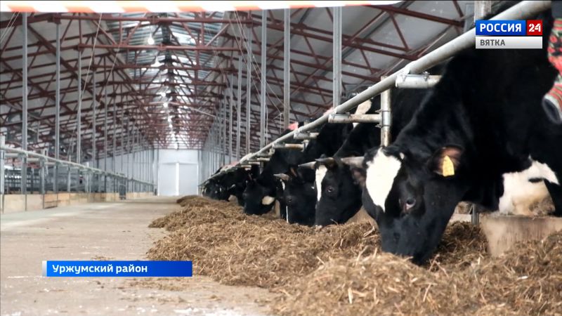 В Уржумском районе открыли коровник