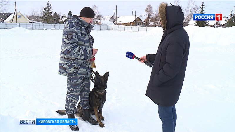 Сотни преступлений в год кировским полицейским помогают раскрыть служебные собаки