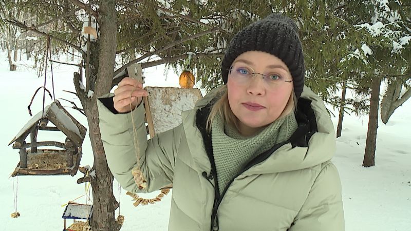 Школа здравого смысла (22.02.2021)