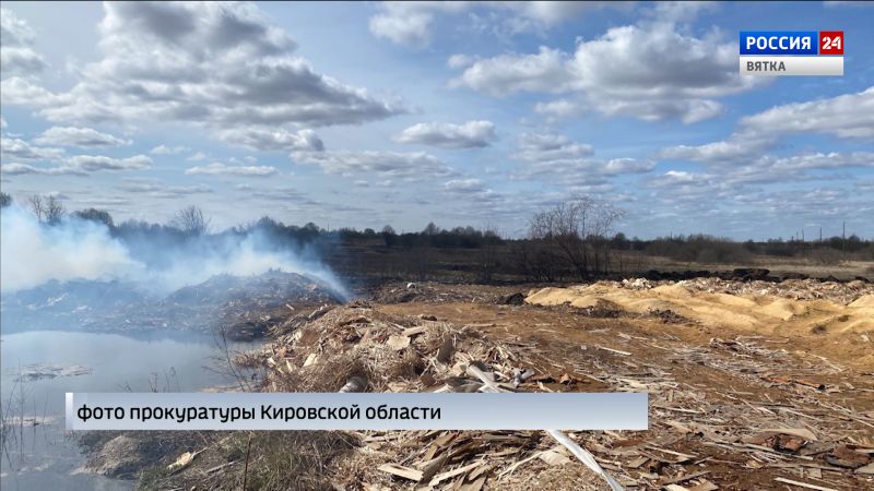 В Кировской области директоров двух деревообрабатывающих предприятий будут судить за ущерб природе