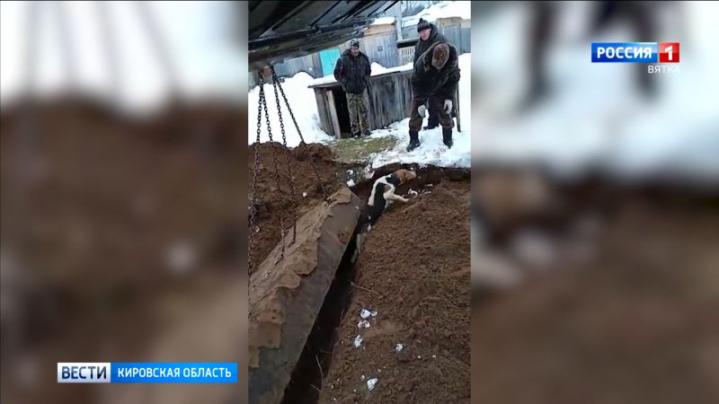 В Котельничском районе спасли собаку, застрявшую в канаве под бетонной плитой
