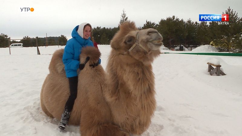 Хвост за хвост (25.02.2022)