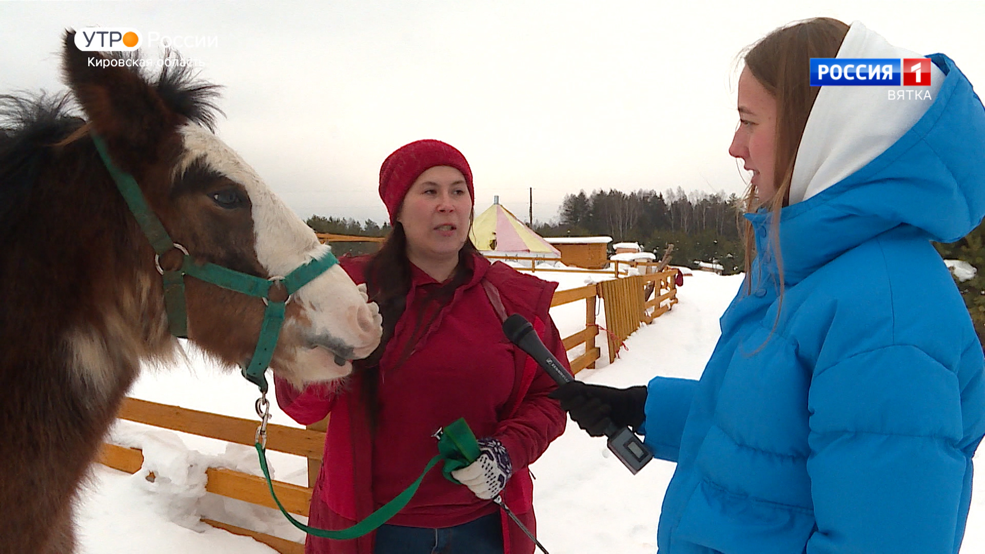 Хвост за хвост (11.03.2022)