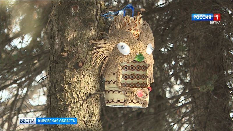 В Кирове выбрали самую необычную кормушку для птиц