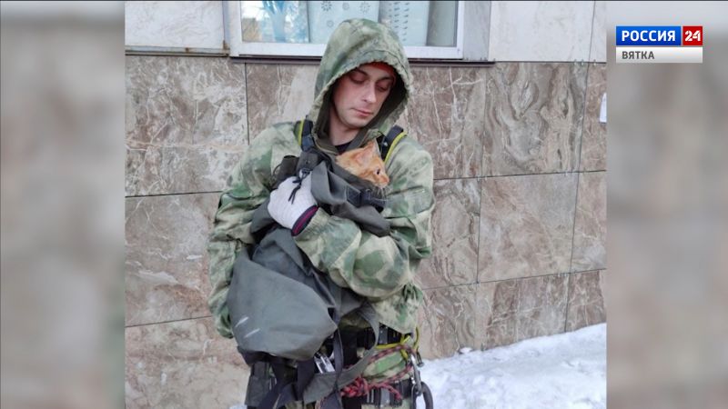 Кировчанин спас кота, выпавшего из окна 5 этажа