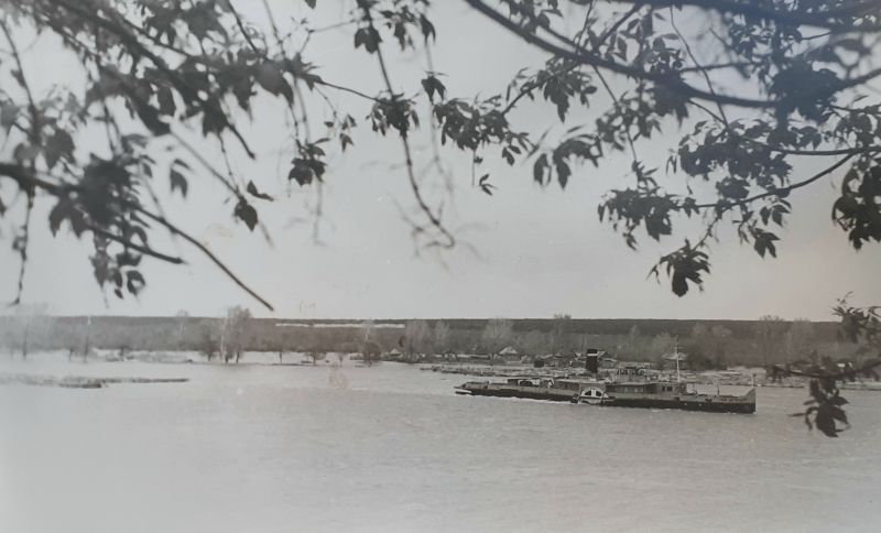 Как выглядит репортаж?