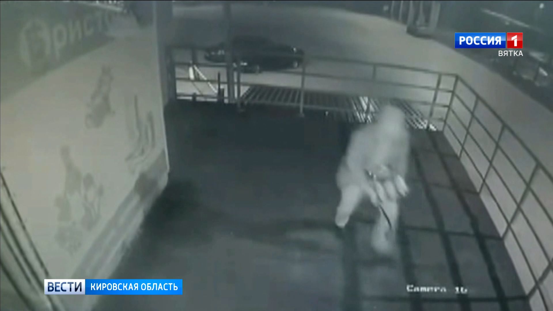 В Кирове задержали подозреваемых в краже из алкомаркета