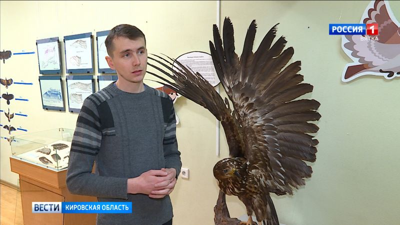 Кировчане отметили международный день птиц