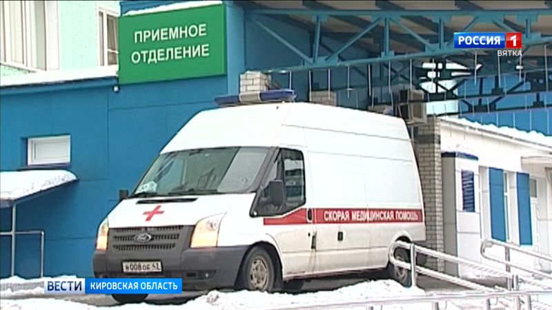 274 жителя Кировской области пострадали от укусов животных