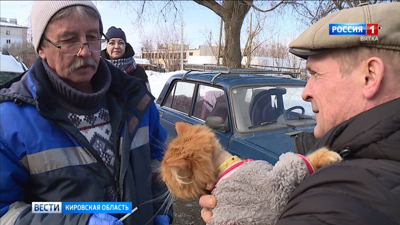 Кировчанам напоминают о вакцинации домашних животных