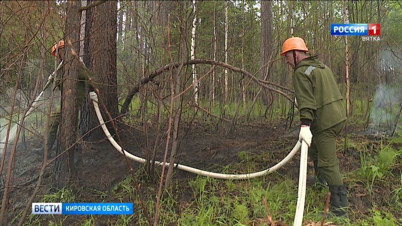 В Кировской области начинает действовать постановление «О начале пожароопасного сезона в лесах»