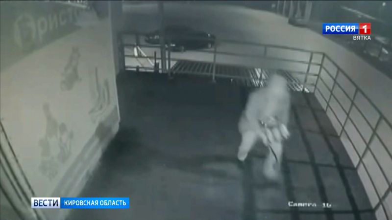 В Кирове задержали подозреваемых в краже из алкомаркета