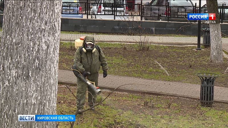 В Кирова началась обработка общественных территорий от клещей