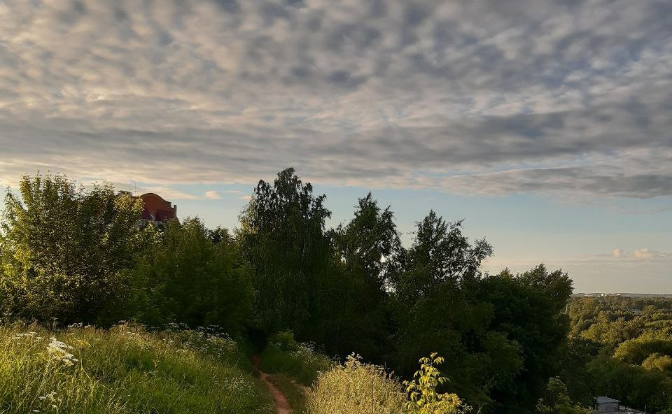 В четверг в Кировской области обещают до  24