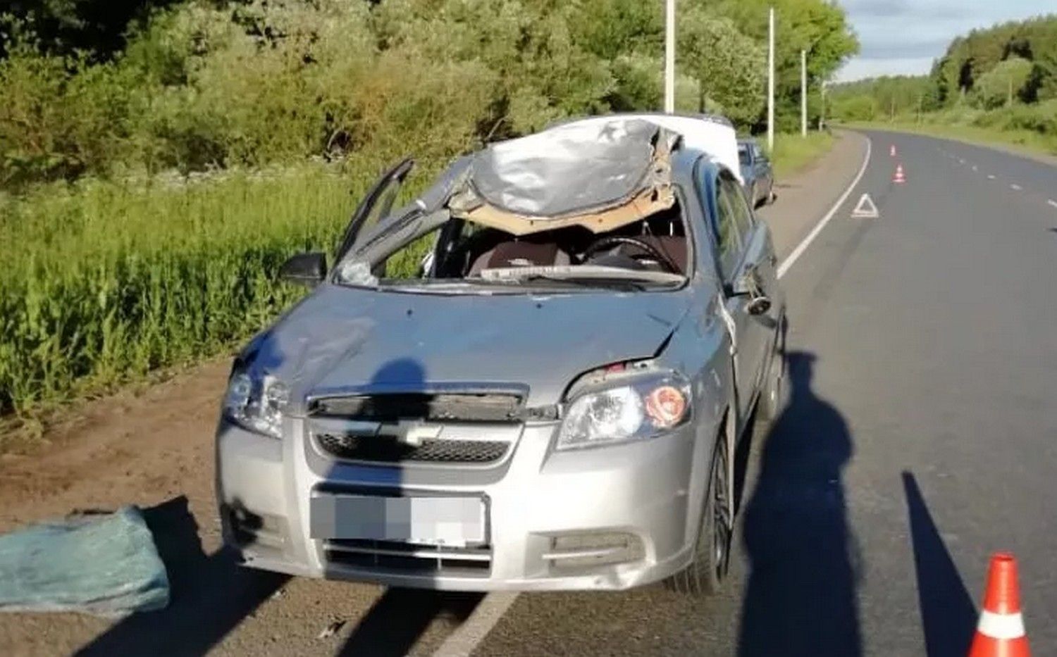 В Кировской области в ДТП с лосем погиб пассажир автомобиля