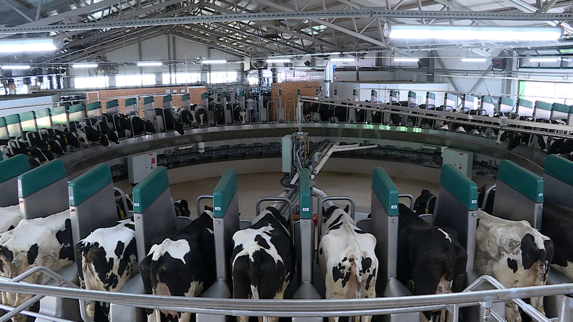 Губерния (29.06.2022)