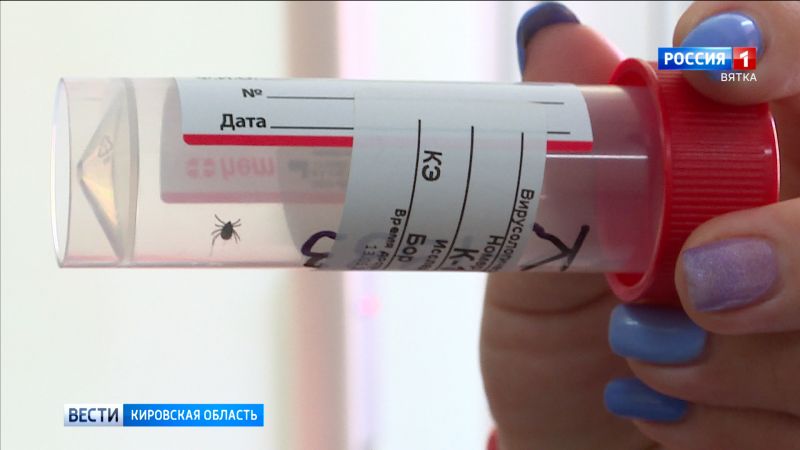 За неделю за клещи покусали более 2 тысяч кировчан