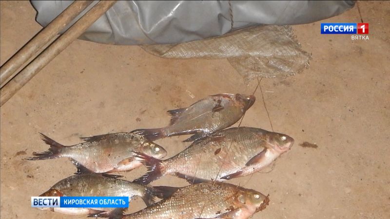 В Кирове возбудили дела в отношении браконьеров