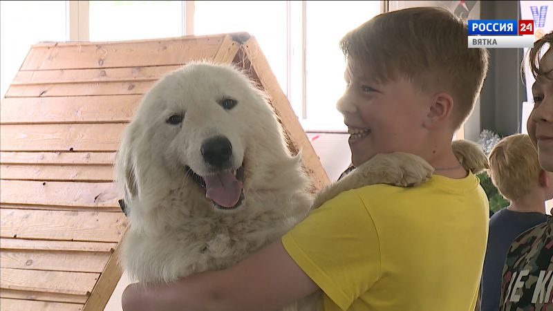Юным кировчанам рассказали о доброте и отзывчивости собак