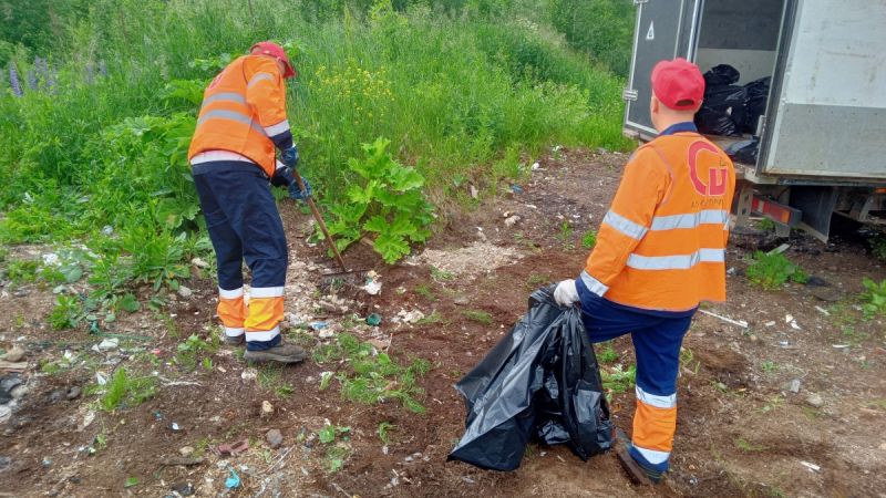 На ликвидацию несанкционированных свалок в Кирове выделили 400 тысяч рублей