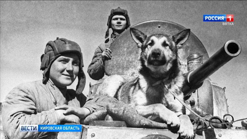 В Кирове открылся вернисаж «Верные друзья Победы»