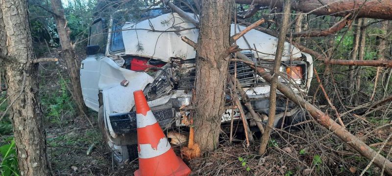 В Кирове бесправник врезался в дерево