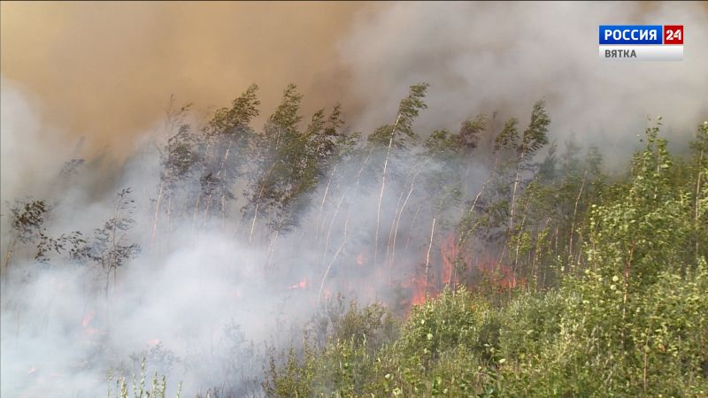 В Уржумском районе потушили лесной пожар
