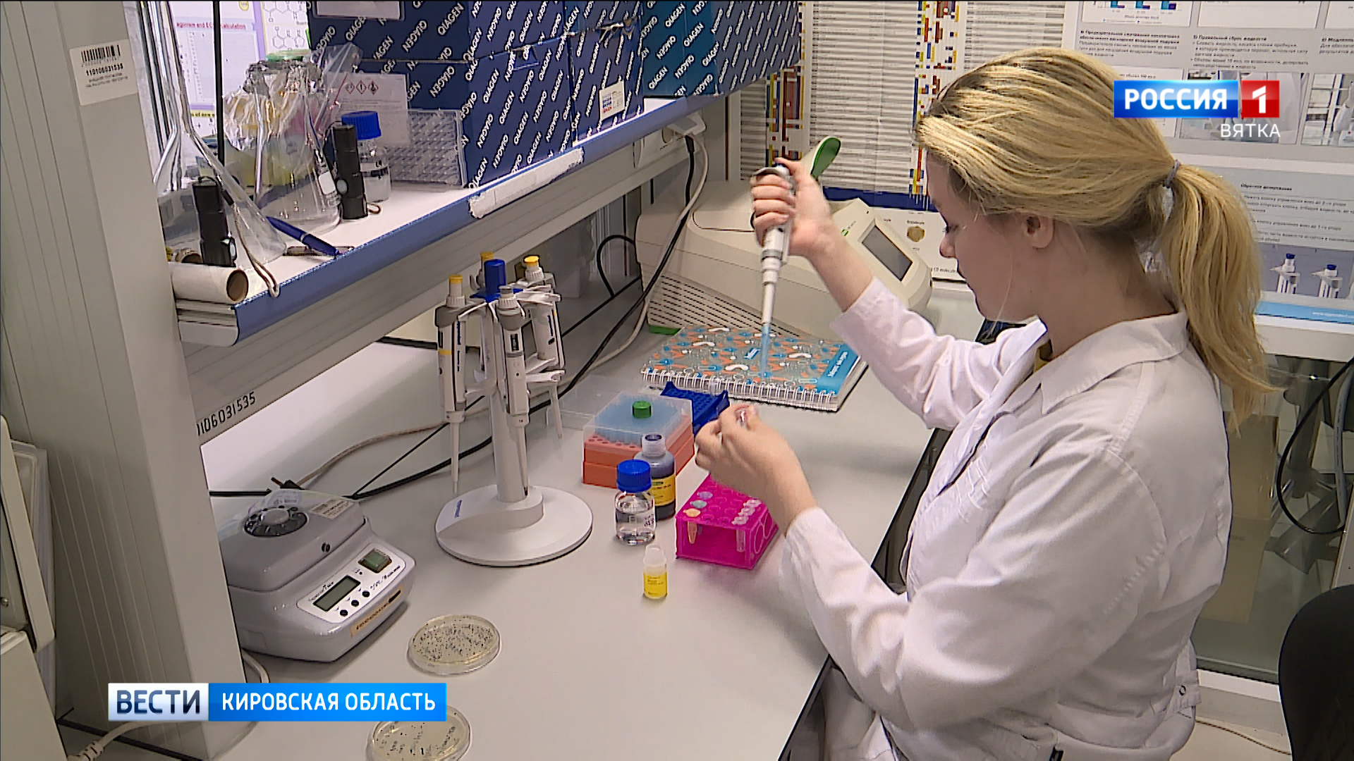 Кировские ученые создают дешевый российский сахарозаменитель